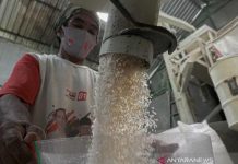 Pengusaha Penggilingan Padi Enggan Lepas Stok Beras, ini Peringatan Pemerintah ILustrasi -Pekerja mengemas beras di penggilingan padi Desa Kajongan, Bojongsari, Purbalingga, Jawa Tengah, Kamis (29/4/2021). ANTARA FOTO/Idhad Zakaria/rwa.