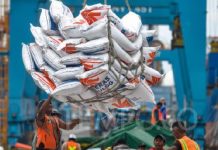 Jelang Lebaran 2023, Pemerintah Siapkan Bansos Beras Kepada Masyarakat Nilainya Capai Rp 7.8 triliun FOTO: Aktivitas bongkar muat beras dari Thailand di pelabuhan Tanjung Priok, Jakarta, Senin, 13 Februari 2023. Direktur Utama Perum Bulog Budi Waseso menargetkan beras impor sebanyak setengah juta ton atau 500 ribu ton sampai di Indonesia pada 15 Februari 2023, dan langsung disalurkan ke masyarakat. Tempo/Tony Hartawan