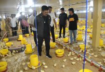 Mentan SYL Resmikan Kandang Ayam Modern Berbasis Closed House di Kabupaten Gowa FOTO: Menteri Pertanian (Mentan) RI, Syahrul Yasin Limpo menyempatkan hadir sekaligus meresmikan kandang ayam modern berbasis closed house, di Dusun Kaballokang, Kecamatan Manuju, Kabupaten Gowa, Rabu (22/3/2023).