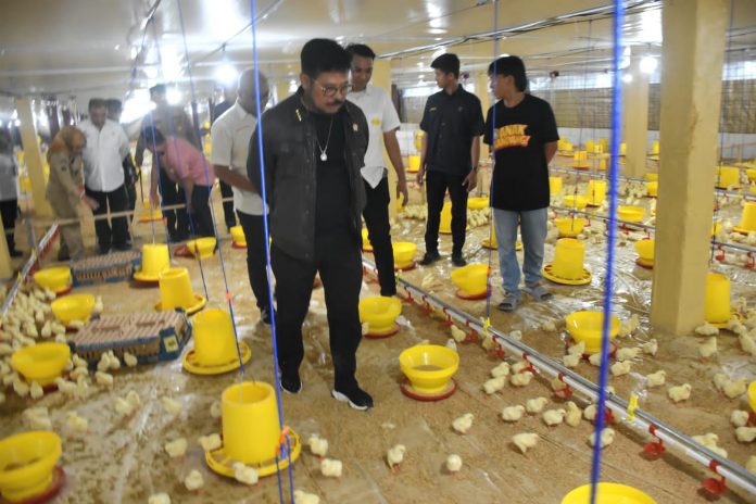 FOTO: Menteri Pertanian (Mentan) RI, Syahrul Yasin Limpo menyempatkan hadir sekaligus meresmikan kandang ayam modern berbasis closed house, di Dusun Kaballokang, Kecamatan Manuju, Kabupaten Gowa, Rabu (22/3/2023).