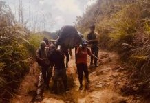 Ketua Mahasiswa Seko IPMS : Ibu Indah Lepas Tanggung Jawab, Terkesan Salahkan Gubernur & Pemerintah Pusat