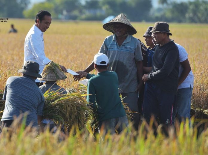 FOTO: Presiden Jokowi bersama para petani di Desa Baji Pamai di Kecamatan Maros Baru, Kabupaten Maros, Sulawesi Selatan, Kamis (30/03/2023)