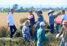 Ketum Perpadi sebut Beras dan Gabah Surplus, Bulog Gunakan HPP, Sementara Harga Saat ini Melambung Tinggi FOTO: Presiden Jokowi bersama para petani di Desa Baji Pamai di Kecamatan Maros Baru, Kabupaten Maros, Sulawesi Selatan, Kamis (30/03/2023)