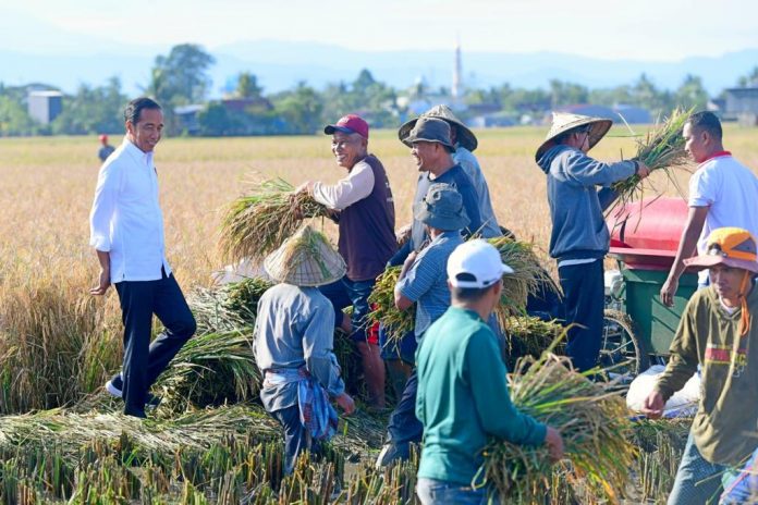 FOTO: Presiden Jokowi bersama para petani di Desa Baji Pamai di Kecamatan Maros Baru, Kabupaten Maros, Sulawesi Selatan, Kamis (30/03/2023)