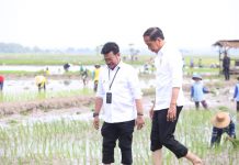 Presiden Jokowi didampingi Mentan SYL Lakukan Percepatan Tanam Padi di Tuban FOTO: Presiden Jokowi didampingi Menteri Pertanian Syahrul Yasin Limpo (Mentan SYL) melakukan tanam padi di Desa Senori, Kecamatan Merakurak, Kabupaten Tuban, Jawa Timur. Kamis (6/4/2023).