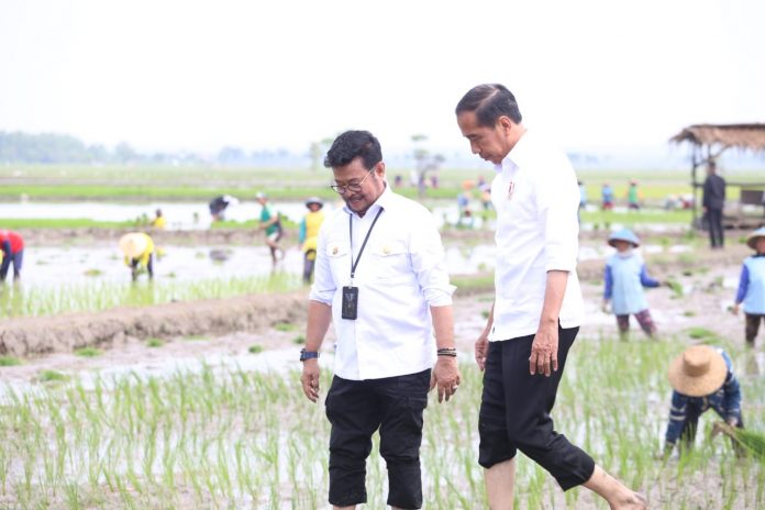 FOTO: Presiden Jokowi didampingi Menteri Pertanian Syahrul Yasin Limpo (Mentan SYL) melakukan tanam padi di Desa Senori, Kecamatan Merakurak, Kabupaten Tuban, Jawa Timur. Kamis (6/4/2023).