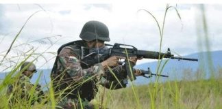 3 Anggota OPM Tewas, 3 Senpi Diamankan Diduga Untuk Teror Warga pada Peringatan HUT RI ke-81 Ilustrasi TNI (Foto: dok. Puspen TNI)