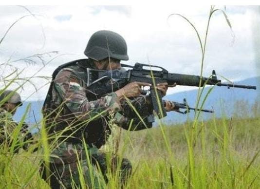 3 Anggota OPM Tewas, 3 Senpi Diamankan Diduga Untuk Teror Warga pada Peringatan HUT RI ke-81 Ilustrasi TNI (Foto: dok. Puspen TNI)