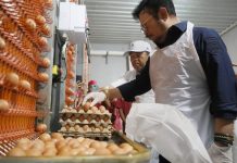 Pantau Ketersedian Telur di Sulsel, Mentan SYL Pastikan Kebutuhan Lebaran Aman FOTO: Menteri Pertanian Syahrul Yasin Limpo saat meninjau perusahan ternak PT Cahaya Mario Grup yang ada di Kabupaten Sidrap, Sulawesi Selatan.