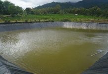 Hadapi El Nino, Mentan SYL Minta Jajarannya Dampingi Para Petani di Lapangan FOTO: Persiapan kolam air dampak dari El Nino puncaknya pada bulan Agustus diharapkan para petani mempersiapkan sumur bor.