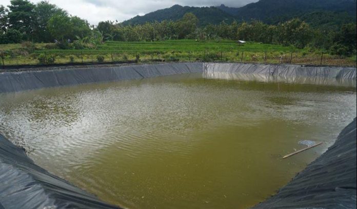 FOTO: Persiapan kolam air dampak dari El Nino puncaknya pada bulan Agustus diharapkan para petani mempersiapkan sumur bor.