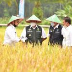 Terkait Arahan Mentan SYL, Wakil Bupati Subang Siap Dampingi Petani Hadapi Kemarau Panjang El Nino FOTO: Menteri Pertanian Syahrul Yasin Limpo bersama Wakil Bupati Subang, Agus Maskur Rosyadi saat menghadiri panen raya di Kabupaten Subang.