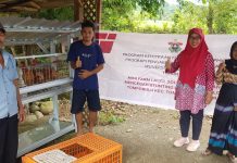 Pendampingan Pengelolaan Mini Farm Layer oleh Tim Pengabdian UNHAS