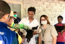 Tekan Penyebaran Virus, Kementan Lakukan Vaksinasi Massal Rabies di Timor Tengah Selatan FOTO: Direktur Kesehatan Hewan Kementerian Pertanian, Nuryani Zainuddin bersama tim melakukan vaksinasi masal terhadap hewan anjing di Kabupaten Timor Tengah Selatan Nusa (TTS) Nusa Tenggara Timur pasca penetapan kejadian luar biasa wabah rabies. Minggu (04/05)
