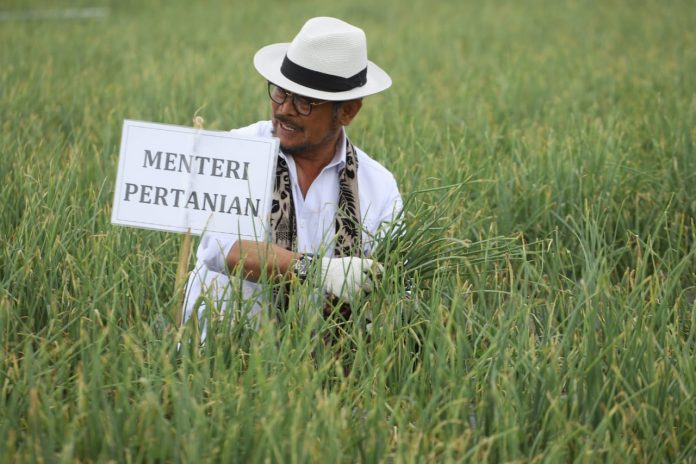 FOTO: Menteri Pertanian Syahrul Yasin Limpo panen raya di Kabupaten Salak, Sumatra Barat