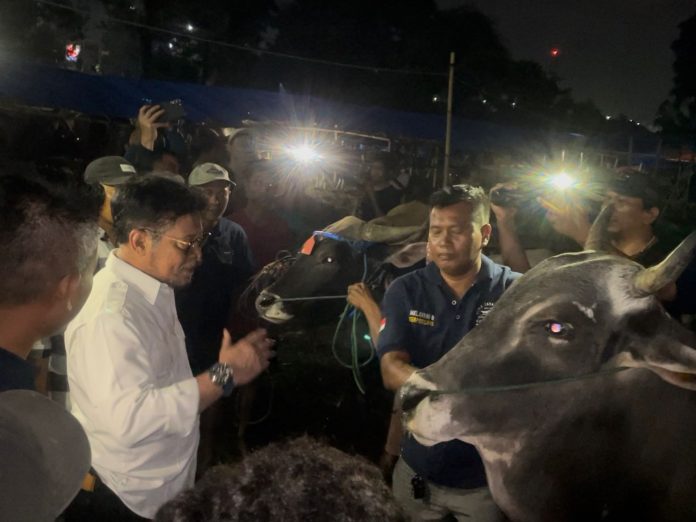 FOTO: Menteri Pertanian Syahrul Yasin Limpo di sapi penjualan Bima Jaya Farm, Yasmin, Bogor, Senin, 19 Juni 2023.