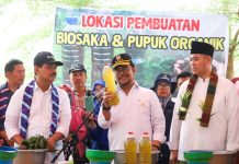 Antisipasi Krisis Pangan, Mentan SYL Dorong Pengembangan Budidaya Sorgum di Pangkep FOTO: Menteri Pertanian Syahrul Yasin Limpo tanam Sorgum di Taman Teknologi Pertanian Ds. Barabatu Kecamatan. Labakkang, Kabupaten. Pangkajene Dan Kepulauan (Pangkep), Jumat (23/6/23).
