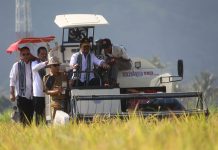 Panen Padi Di Lombok Barat, Mentan SYL Ajak Petani Bersama Hadapi EL Nino FOTO: Menteri Pertanian Syahrul Yasin Limpo melakukan panen padi di Desa Tempos Kecamatan Gerung, Kabupaten Lombok Barat, Nusa Tenggara Barat, Senin 26 Juni 2023.