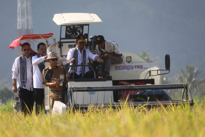 FOTO: Menteri Pertanian Syahrul Yasin Limpo melakukan panen padi di Desa Tempos Kecamatan Gerung, Kabupaten Lombok Barat, Nusa Tenggara Barat, Senin 26 Juni 2023.