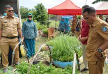 Bupati Bulukumba Launching Rumah Gizi di Desa Polewali Gantarang FOTO: Bupati Bulukumba Andi Muchtar Ali Yusuf berkunjung di Rumah Gizi Muhammadiyah, Desa Polewali, Kecamatan Gantarang, Senin, 26 Juni 2023.