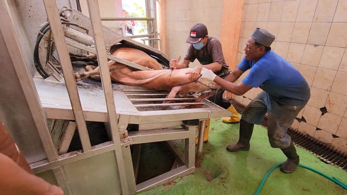 FOTO: Rumah Pemotongan Hewan Ruminansia (RPH R) di Kelurahan Ule, Kecamatan Asakota, Kota Bima, Kamis (29/06).