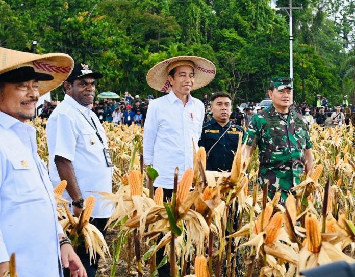 FOTO: Dari Kiri Menteri Pertanian Syahrul Yasin Limpo dan Bupati Keerom, Piter Gusbager saat mendampingi Presiden Joko Widodo hadiri program lumbung pangan nasional atau Food Estate di Kabupaten Keerom, Provinsi Papua. Sabtu, 8 Juli 2023