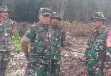 Danrem 141/Toddopuli Tinjau Lokasi TMMD Ke 117 Bulukumba FOTO: Danrem 141 Toddopuli, Brigjen TNI Budi Suharto, saat meninjau langsung lokasi kegiatan perintisan jalan di Lingkungan Lemo lemo, Kelurahan Tanah lemo, Kecamatan Bonto Bahari, Kamis 13 Juli 2023.