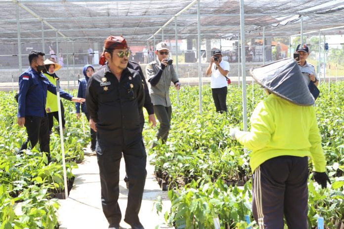 FOTO: Menteri Pertanian Syahrul Yasin Limpo melaunching nursery modern tanaman perkebunan perdana di Kabupaten Cianjur. Kamis (20/7/2023)