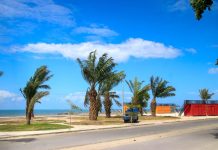 Percantik Pantai Merpati, DLHK Tanami Pohon Sawit FOTO: Pantai Merpati yang merupakan ikon wisata baru yang terletak di Kecamatan Ujung Bulu, Kabupaten Bulukumba ditanami pohon sawit.
