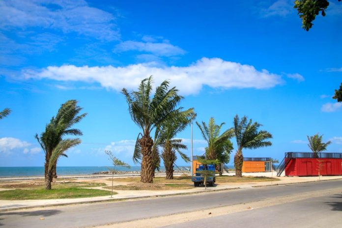 FOTO: Pantai Merpati yang merupakan ikon wisata baru yang terletak di Kecamatan Ujung Bulu, Kabupaten Bulukumba ditanami pohon sawit.