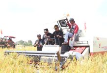 Mitigasi El Nino, Mentan SYL Panen Padi dan Gerakan Tanam Padi di Barito Kuala FOTO: Menteri Pertanian Syahrul Yasin Limpo pada acara panen dan tanam di Desa Gampa Asahi, Kecamatan Rantau Badauh, Barito Kuala, Jumat (11/8/2023).