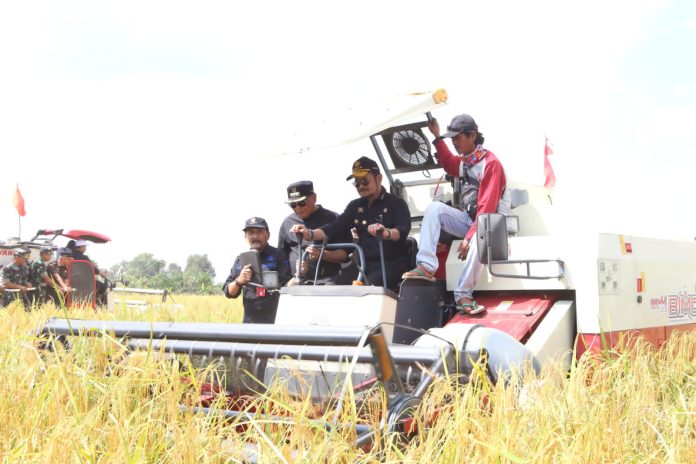 FOTO: Menteri Pertanian Syahrul Yasin Limpo pada acara panen dan tanam di Desa Gampa Asahi, Kecamatan Rantau Badauh, Barito Kuala, Jumat (11/8/2023).