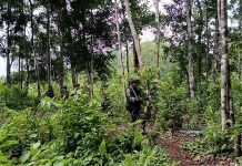 Cegah Penyusupan dan Penyeludupan Satgas Yonif 122/TS Gelar Patroli Jalur Pelintasan Tidak Resmi di Perbatasan Darat RI-PNG FOTO: Satuan Tugas Pengamanan perbatasan (Pamtas) Republik Indonesia -Papua Nugini Yonif 122/TS yang Gelar Patroli Jalan Tikus (Tidak Resmi) dalam rangka mengantisipasi mengantisipasi adanya aksi penyusupan penyeludupan di sepanjang perbatasan, Sabtu, (25/08/2023).