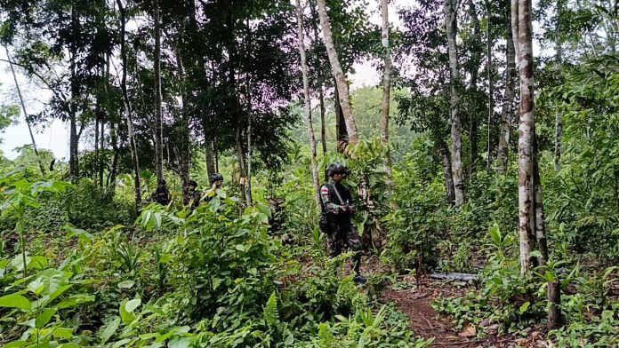 FOTO: Satuan Tugas Pengamanan perbatasan (Pamtas) Republik Indonesia -Papua Nugini Yonif 122/TS yang Gelar Patroli Jalan Tikus (Tidak Resmi) dalam rangka mengantisipasi mengantisipasi adanya aksi penyusupan penyeludupan di sepanjang perbatasan, Sabtu, (25/08/2023).