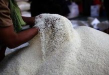 Di Tengah Surplus, Harga Beras Naik Tajam di Seluruh Zona Indonesia, KSP Prabowo Soroti FOTO: Bansos Jokowi berupa beras 10 kg (dok. Humas Bapanas)