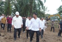 Mentan SYL Dorong Peremajaan Sawit dan Perkebunan Partisipatif di Serdang Bedagai, Sumut FOTO: Menteri Pertanian Syahrul Yasin Limpo saat melakukan kunjungan ke kawasan peremajaan sawit di Kabupaten Serdang Bedagai, Sumatera Utara. (4/8/2023)