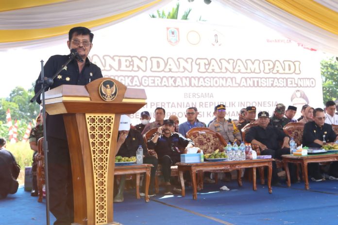 FOTO: Menteri Pertanian Syahrul Yasin Limpo (Mentan SYL) melakukan panen raya padi sekaligus pencanangan tanam 1.000 hektar perkabupaten se Kalimantan Selatan di Kabupaten Barito Kuala. Jumat (11/8/2023).