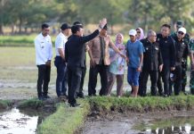Mentan SYL Cek Tanam Padi Kabupaten Gowa, Pastikan Produksi Penyangga Pangan Nasional Aman Berjalan Baik FOTO: Menteri Pertanian Syahrul Yasin Limpo meninjau tanam padi yang akan dikunjungi Wakil Presiden, Sabtu, 2 September 2023.