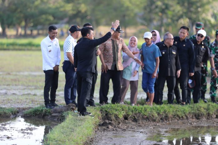 FOTO: Menteri Pertanian Syahrul Yasin Limpo meninjau tanam padi yang akan dikunjungi Wakil Presiden, Sabtu, 2 September 2023.