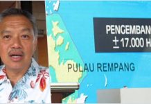 Disebutkan Bos Besar TW Dibalik Proyek Proyek Rempang Eco City Foto kolase Tomy Winata
