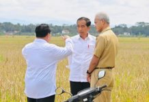 Prabowo Ganjar Belum Punya Cawapres, Pengamat Sebut Masih Saling Intip Hingga Peleburan Keduanya FOTO: Presiden Joko Widodo, Menhan Prabowo Subianto dan mantan gubernur Jawa Tengah Ganjar Pranowo
