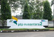Haru Bahagia Pensiunan dan Ahli Waris Terima SHT PTPN2 FOTO: Kantor PTPN2