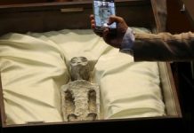 NASA Akhirnya Buka Suara Soal Alien di Meksiko FOTO: Jasad makhluk 'bukan manusia' yang diduga alien diperlihatkan saat sidang kongres di Mexico City, Selasa (12/9/2023) waktu setempat. (REUTERS/Henry Romero)