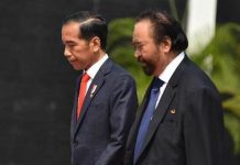 Pengamat Nilai Hubungan Partai Nasdem dengan Jokowi Makin Merenggang FOTO: Presiden Jokowi dan Ketua umum partai NasDem Surya Paloh (ist)