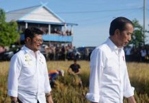 Staf Khusus Sebut Belum Ada Jadwal Presiden Jokowi Bertemu SYL FOTO: Syahrul Yasin Limpo saat mendampingi Presiden Jokowi panen raya di Kabupaten Maros, Sulawesi Selatan. (Dokumen Kementan)