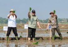 Kementan Genjot Akselerasi Tanam Padi Musim Tanam Oktober 2023-Maret 2024 di Karawang FOTO: Direktur Jenderal Perkebunan bersama Sekretaris Direktorat Jenderal Perkebunan dan Direktur Pupuk Indonesia Pangan dan Kadis Pertanian dan Tanaman Pangan Kabupaten Karawang melakukan tanam padi sebagai bagian dari Gerakan Percepatan Tanam Padi MT1 (OKMAR), yang sedang gencar dilakukan pada berbagai daerah di Indonesia. Senin (20/11) di Karawang.