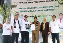 Wamentan Ungkap Langkah Kongkrit Genjot Produksi untuk Swasembada Gula Nasional FOTO: Wakil Menteri Pertanian, Harvick Hasnul Qolbi, pada kegiatan tanam tebu, Selasa (21/11/2023) di Blitar Jawa Timur.