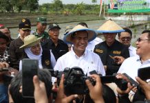 Mentan Amran Pacu Produktivitas Semen Beku untuk Tingkatkan Populasi Ternak FOTO: Menteri Pertanian (Mentan) Andi Amran Sulaiman melakukan kunjungan kerja ke Badan Layanan Umum Balai Besar Inseminasi Buatan (BBIB) Singosari, Malang