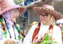 Dorong Ketahanan Pangan Keluarga, Bidang V OASE KIM Panen Sayur Organik dan Bimtek Urban Farming FOTO: Kanan Martati Amran istri Menteri Pertanian, saat menghadiri bimbingan teknis (Bimtek) dan peninjauan ke kelompok wanita tani (KWT) Sri Rejeki di Banjar Baru.