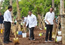 Mentan Amran Dampingi Presiden Gerakan Tanam Pohon Bersama Sebagai Menteri LHK Ad-Interim FOTO: Kanan Presiden Jokowi dan Kiri Menteri Pertanian Andi Amran Sulaiman yang juga sebagai Menteri Lingkungan Hidup dan Kehutanan (LHK) Ad-Interim bersama Sekretaris Kabinet (Seskab) Pramono Anung saat menghadiri acara Gerakan Tanam Pohon Bersama di Hutan JIEP Kawasan Industri Pulo Gadung, Jakarta Timur, Rabu (29/11).